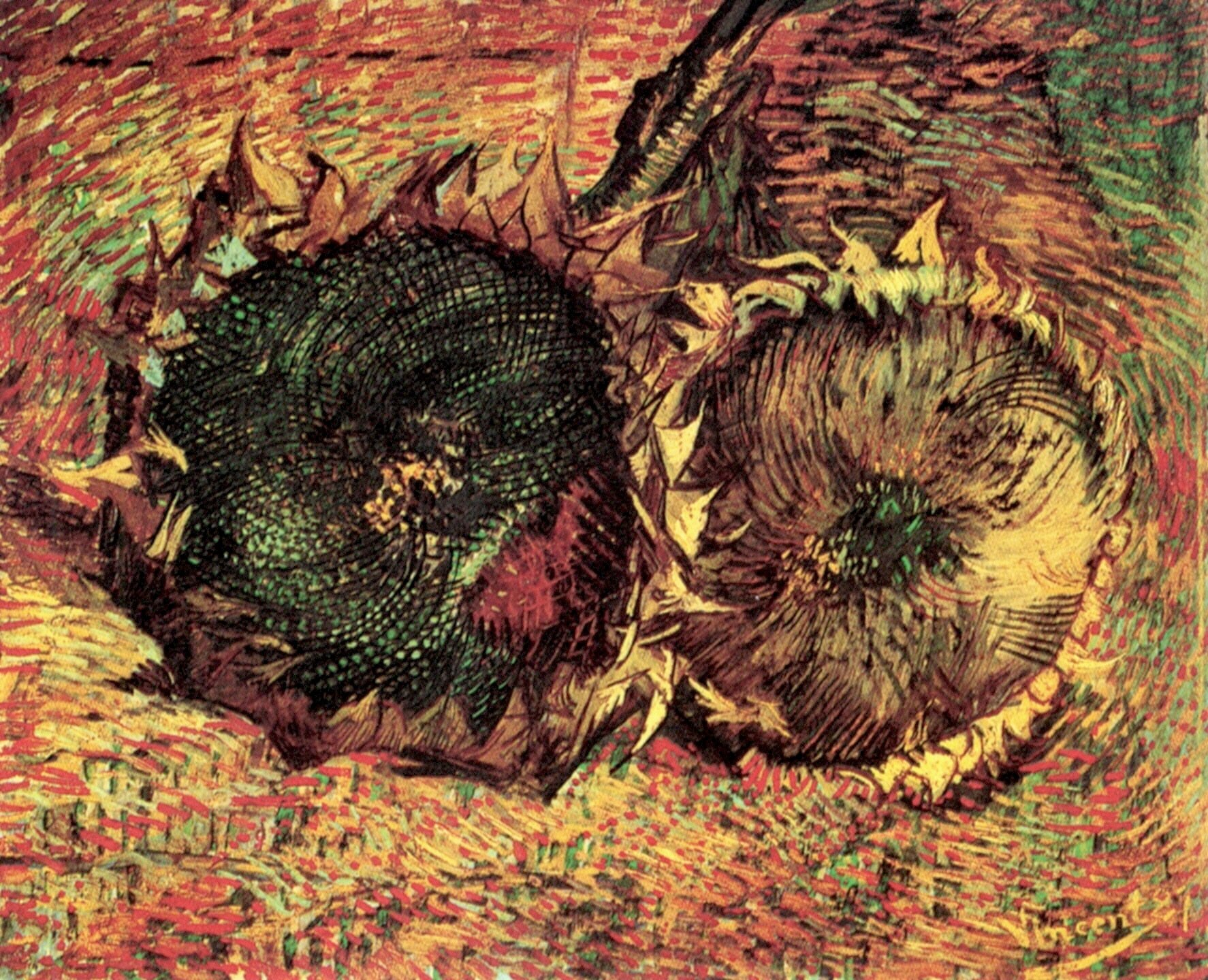 Two Cut Sunflowers 1887